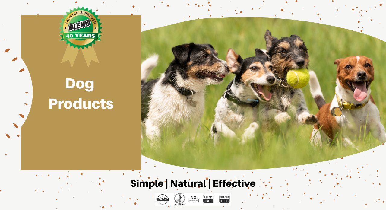 olewo dog products olewo dog products