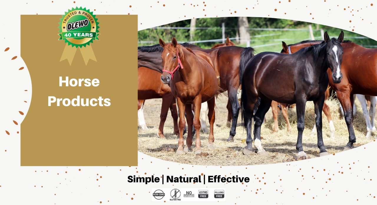 olewo horse products page olewo horse products page