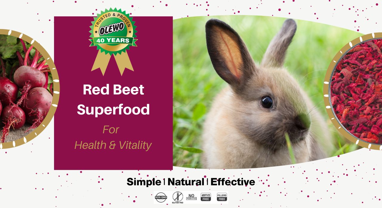 beets for small animals beets for small animals