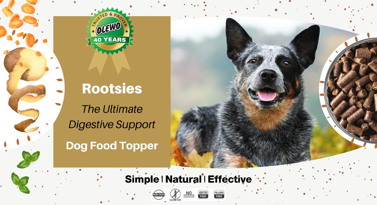 rootsies dig food topper page rootsies dig food topper page