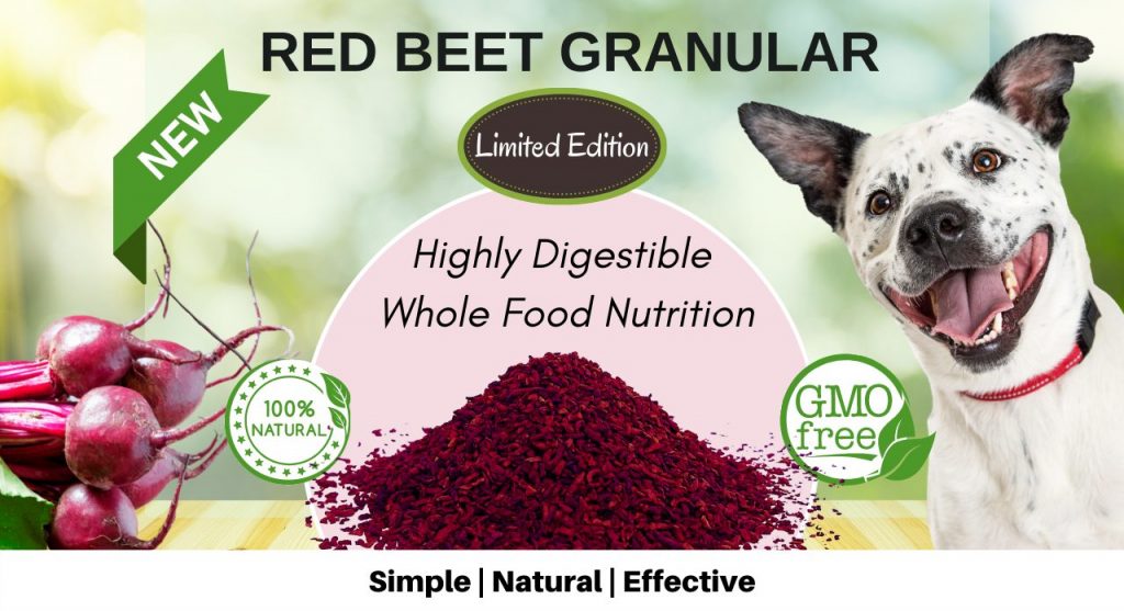 Natural Relief for Dog Allergies and Itching with Olewo Red Beets